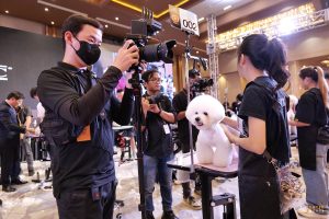 Báo giá dịch vụ flycam tại Flytech